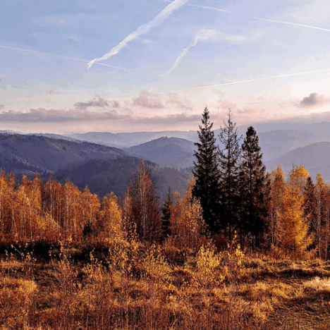 Kamienne labirynty i lecznicze wody Gór Stołowych