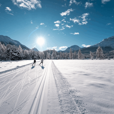 Mongolia – kraina bezkresnych horyzontów i ducha wolności