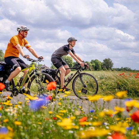 Czar Walonii: podróż przez historię, naturę i tradycję